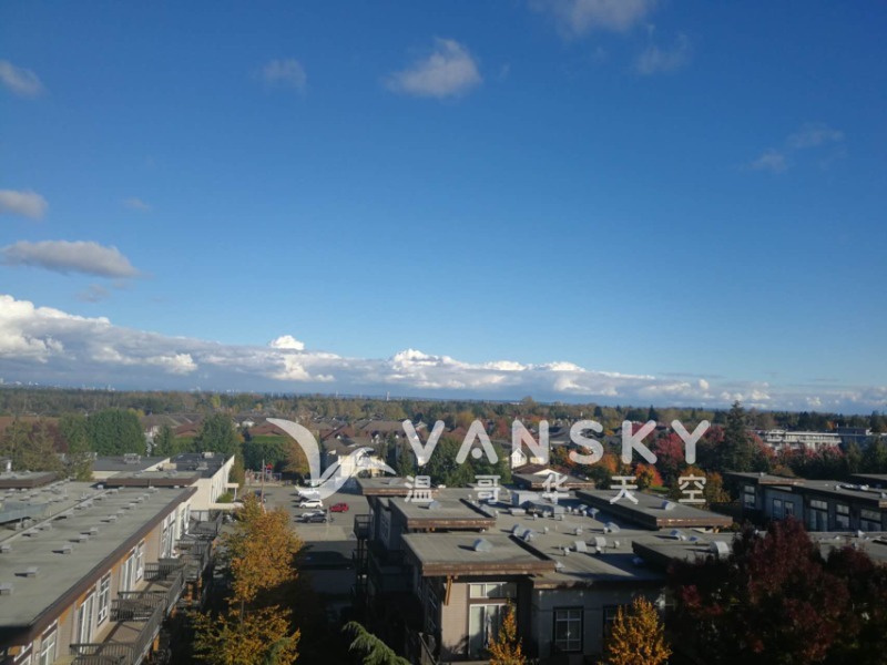 250103085841_911 pic 15.jpg